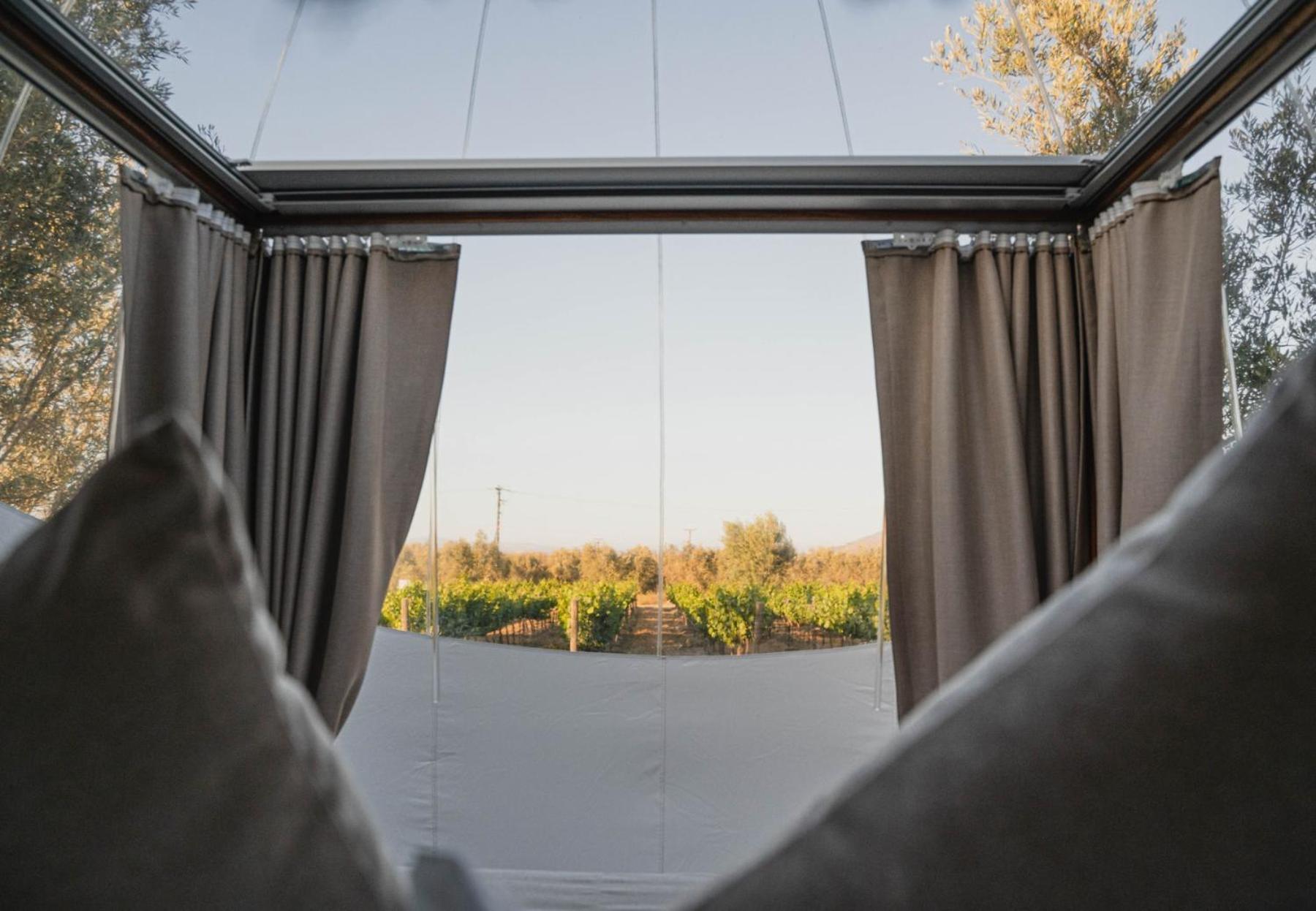 Campera Valle De Guadalupe Енсенада Екстер'єр фото